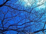 20070322 19.jpg